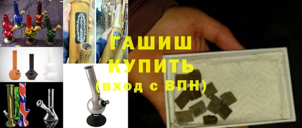 индика Гусиноозёрск